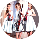 Euphoria Violin S. profile picture